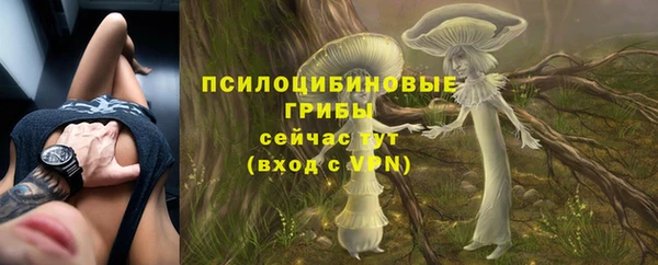 прущий лед Арсеньев